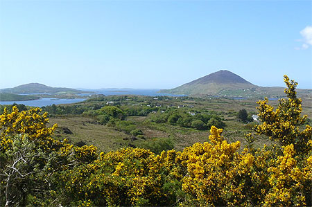 Ballynakill Harbour vue de Diamond Hill