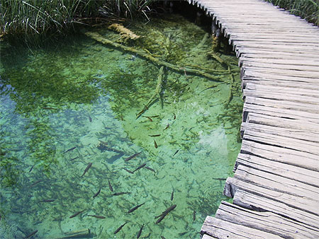 Parc de Plitvice