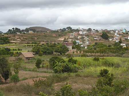 Sur la route de Lemur's Park
