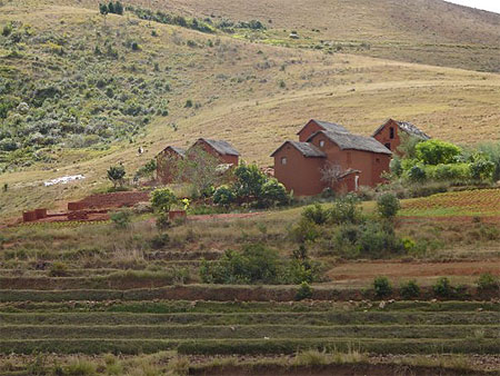 Paysage Malgache