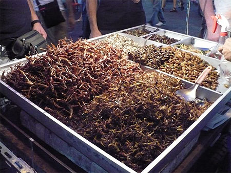 D�gustation d'insectes sur Kaoh San Road