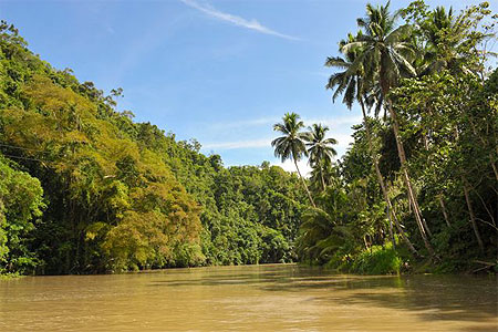 Rivi�re Loboc