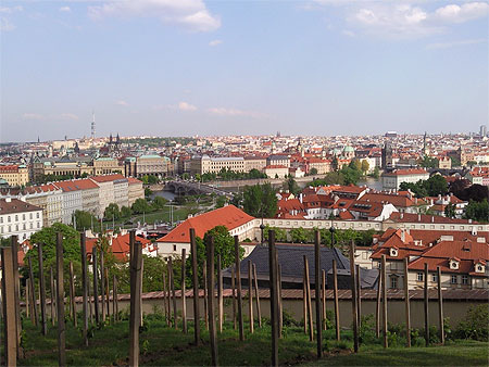 Les Vignes du Ch�teau de Prague surplombant le fleuve et la ville