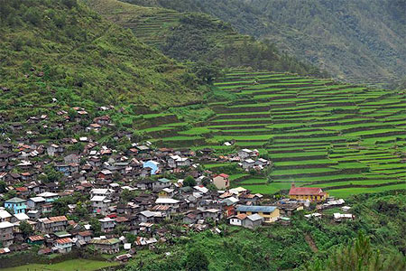 Bay-Yo rice terraces