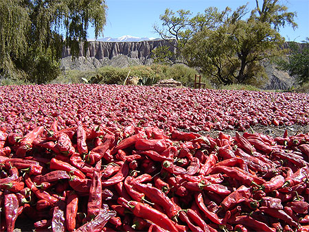 Piments s�chant