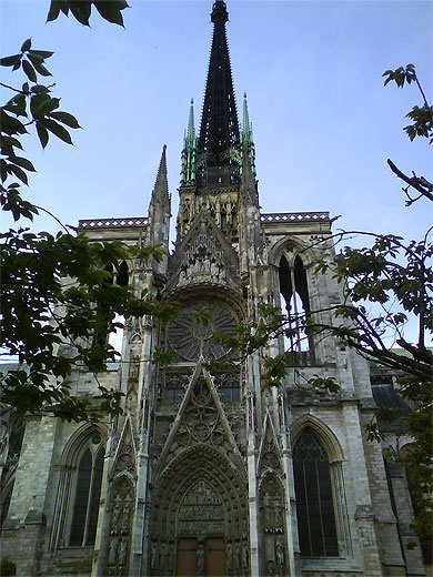 Notre Dame Arbre