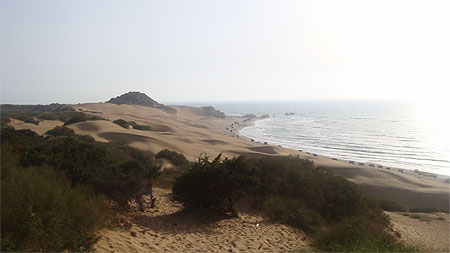 Chaibia