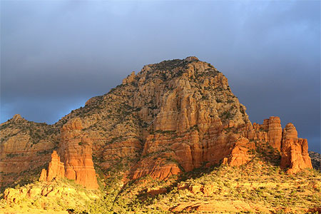Sugar loaf