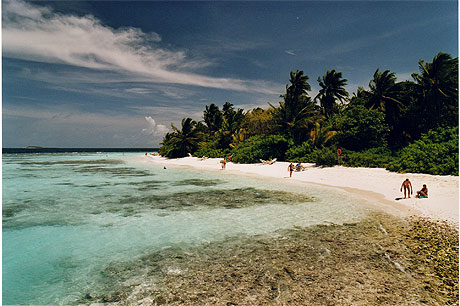 La plage et une passe pour acc�der au tombant pour de longue heure de snorkeling!
