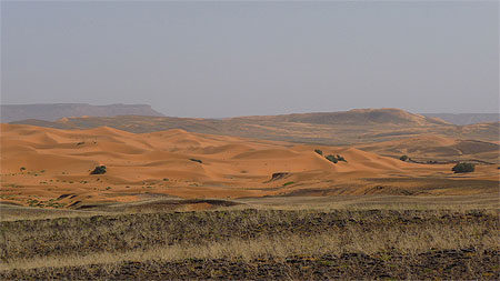 D�sert de Merzouga