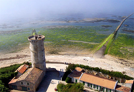 Du haut du phare des Baleines