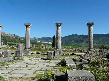 De Moulay Idriss � Volubilis