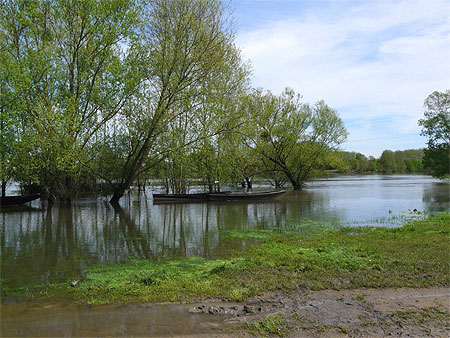 Bateaux sur la Vienne