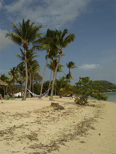 Plage pointe marin