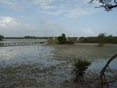 Etang des salines