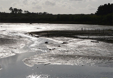 Mar�e basse � Arzon
