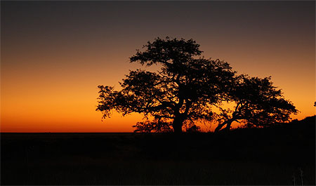 Coucher de soleil