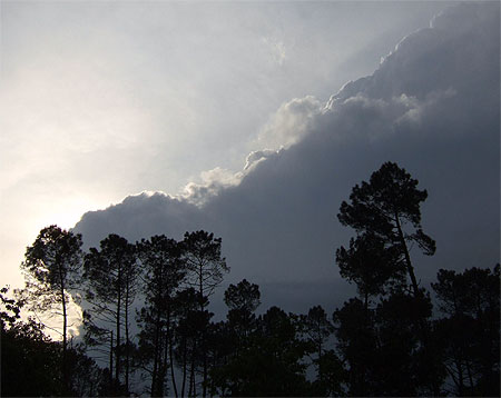 Coucher de soleil pr�s de mont de Marsan