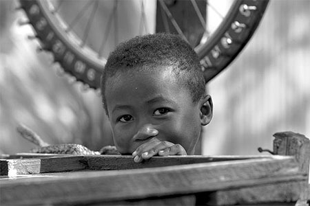 Regard malicieux � Fort-Dauphin
