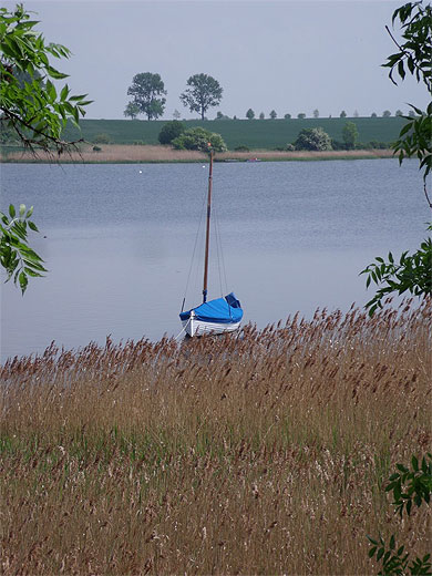 �le de Poel