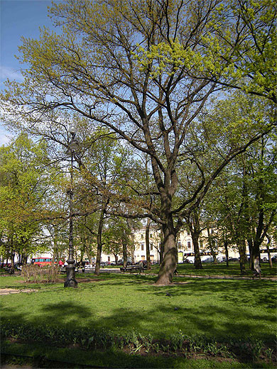 Place des arts 