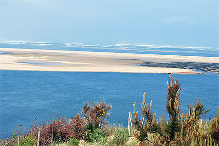 Vue sur le bassin