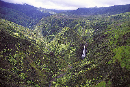 Kauai Falls