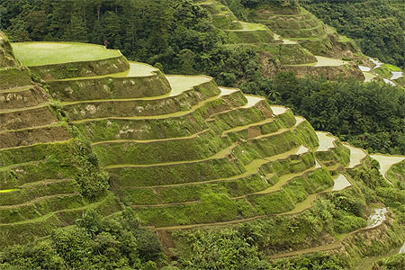 Rizi�res de banaue