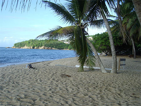 Anse l'�tang