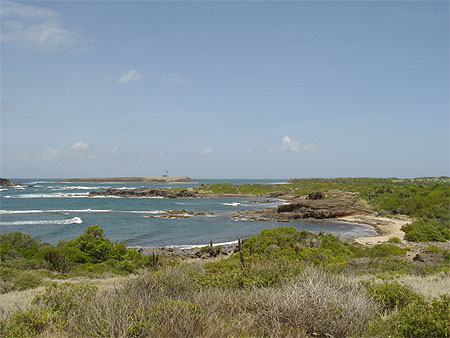 Savane des p�trifications