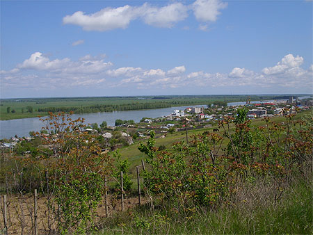 Paysages du Delta