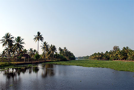 Backwaters