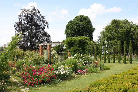 Jardin des plantes d'Orl�ans