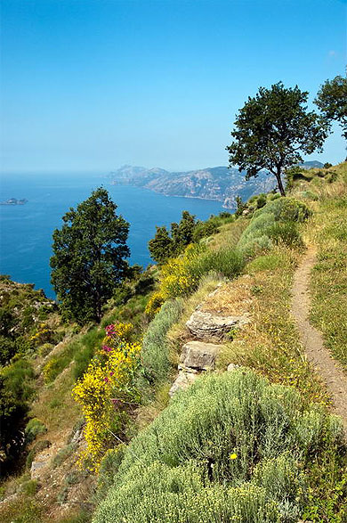 Le sentier des dieux