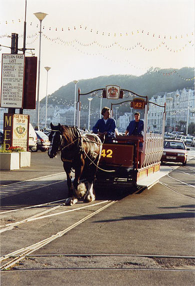 Tram hippomobile