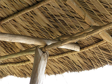 Palafittes, maisons sur pilotis de l'Or�noque