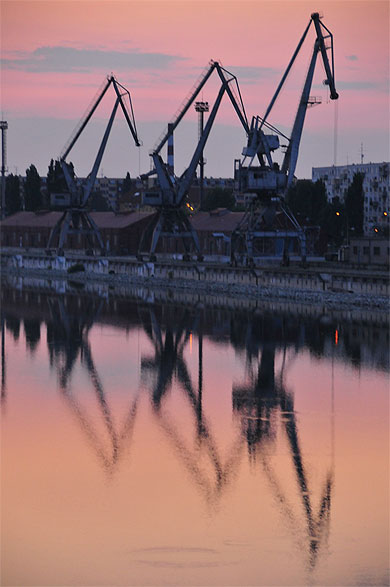 Grues sur le Danube