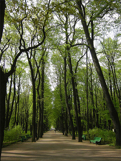 Jardin d'�t� 