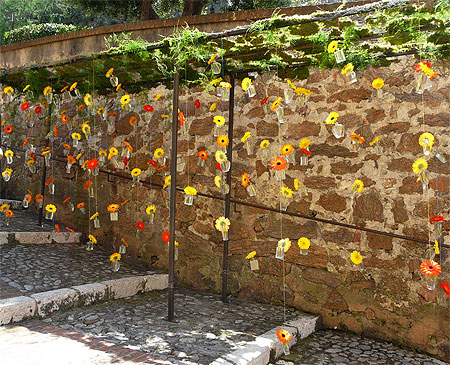 Petit couloir de fleur "pendouillantes"