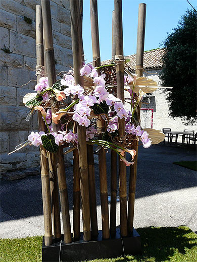 Bambou et orchid�es roses