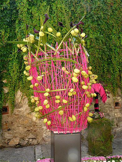 Bois rose et lanterne verte