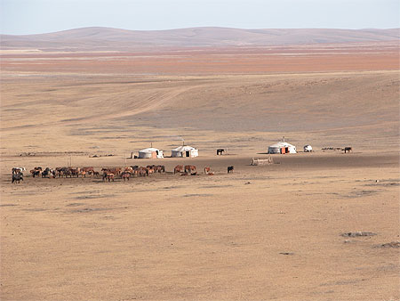 Yourte dans le gobi