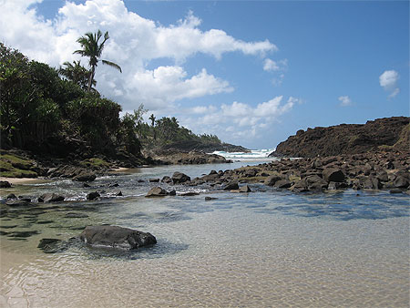 Piscines Naturelles
