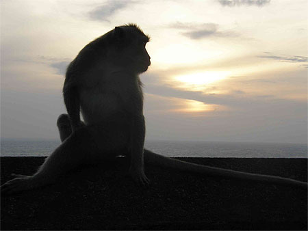 Vision sur l'horizon