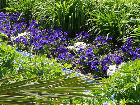 Le jardin de Cheverny