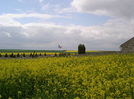 Cimeti�re et champs de colza