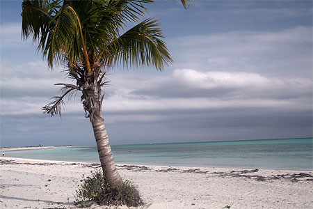 La plage