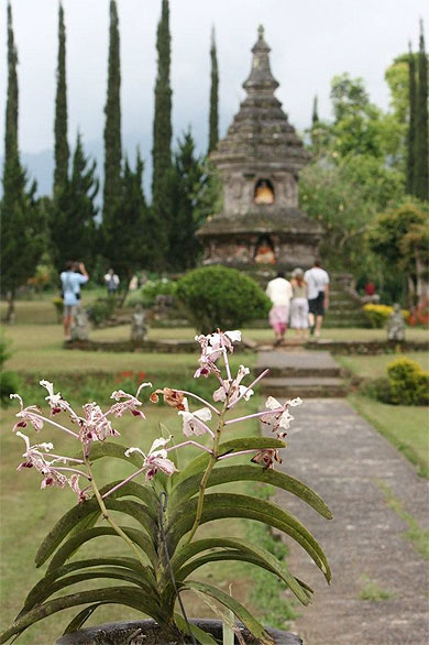 Orchid�e et monument bouddhiste