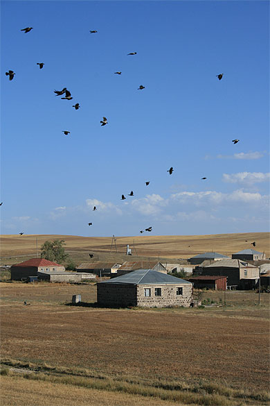 Vol d'oiseau sur la route de Vardenis