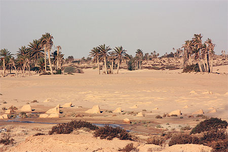 Paysage